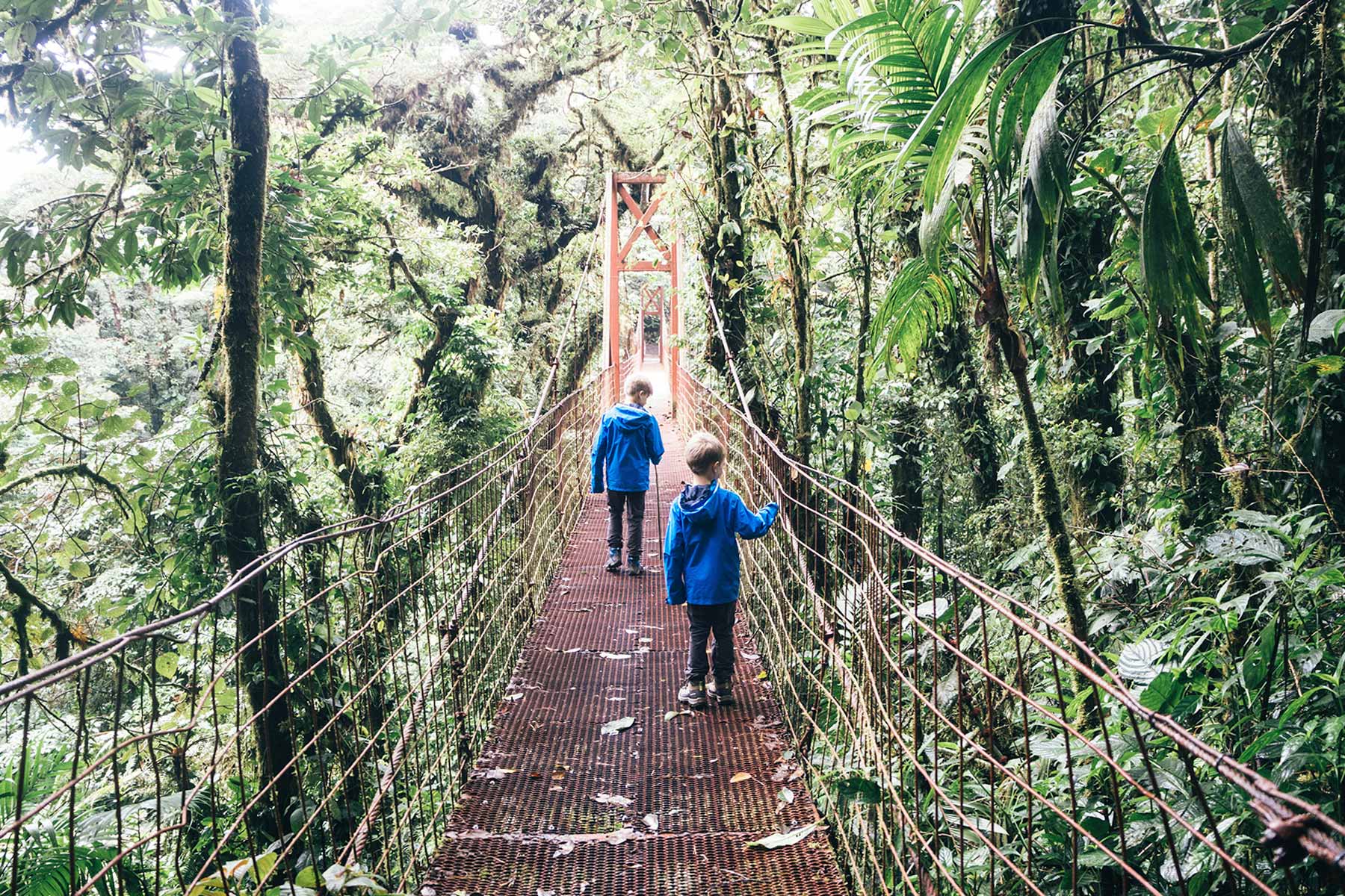 Im Nebelwald von Monteverde Travelisto FamilienReiseblog